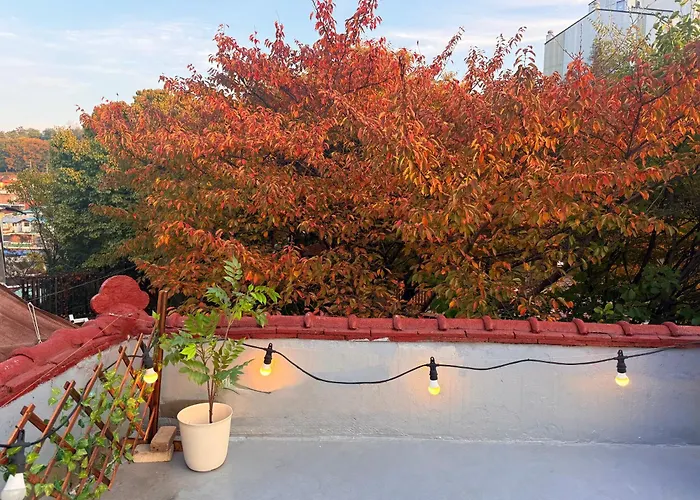 K-rooftop Nodeul House
